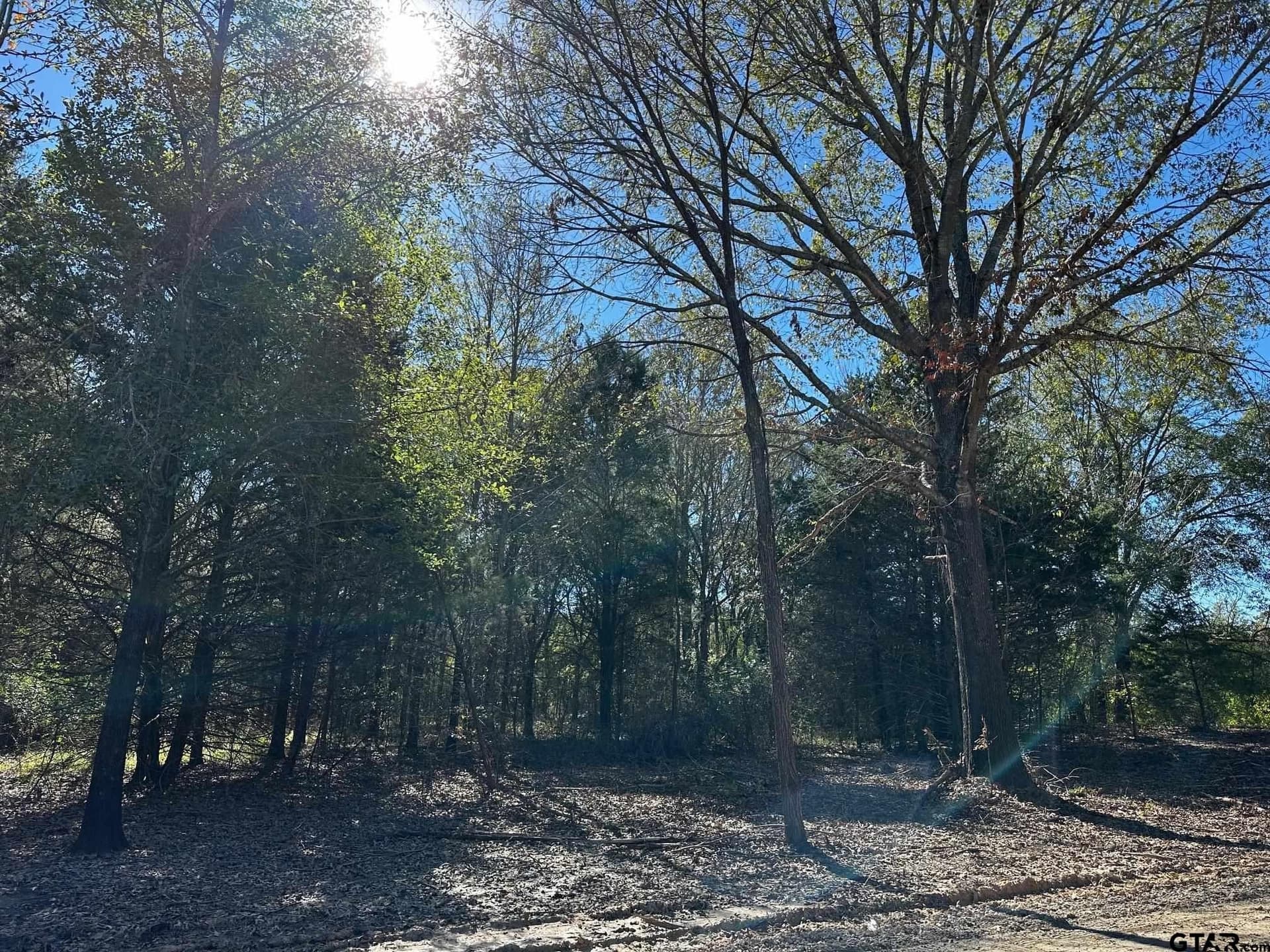 10 acres in Van Zandt County - photo 11
