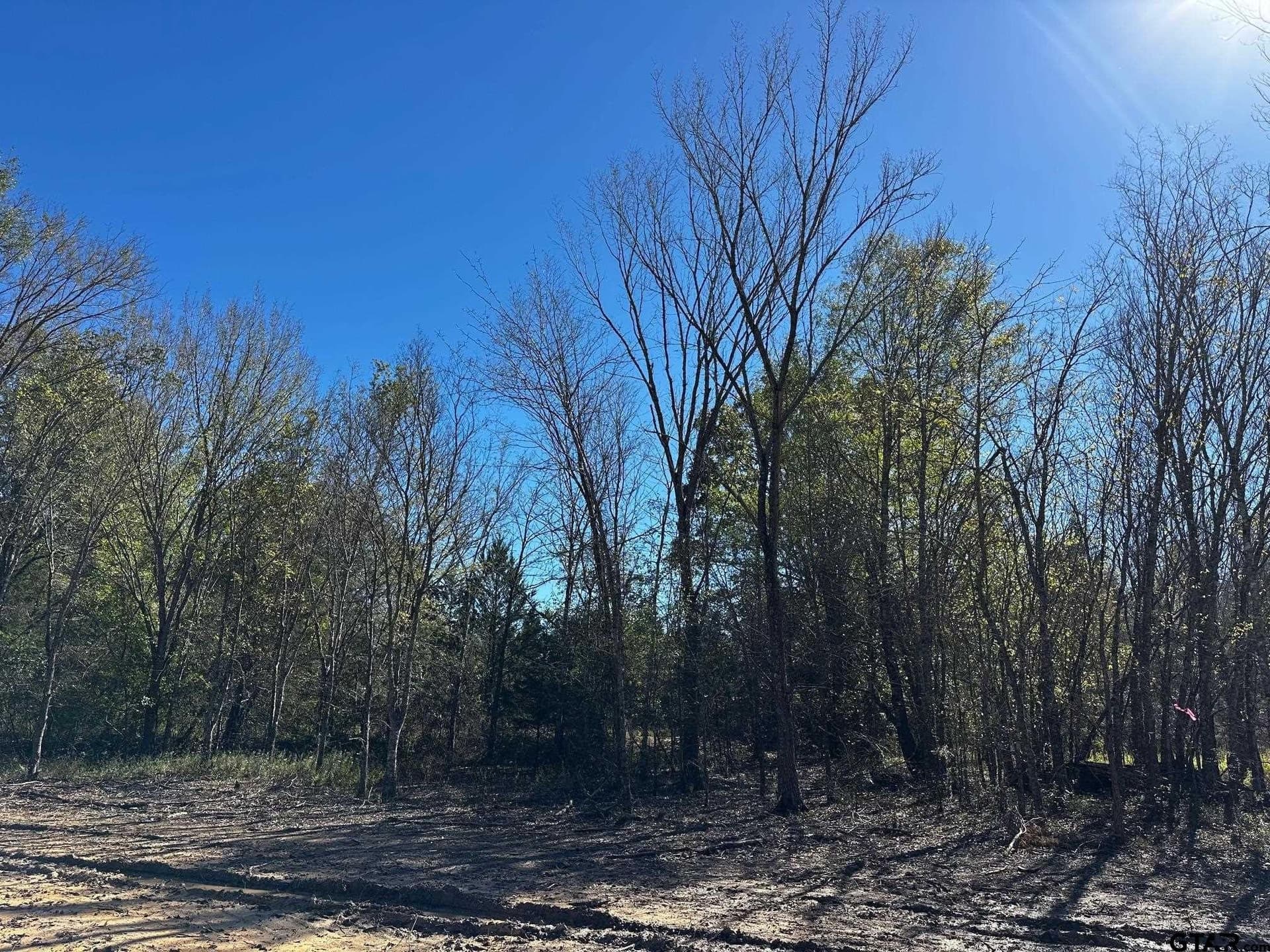 10 acres in Van Zandt County - photo 13