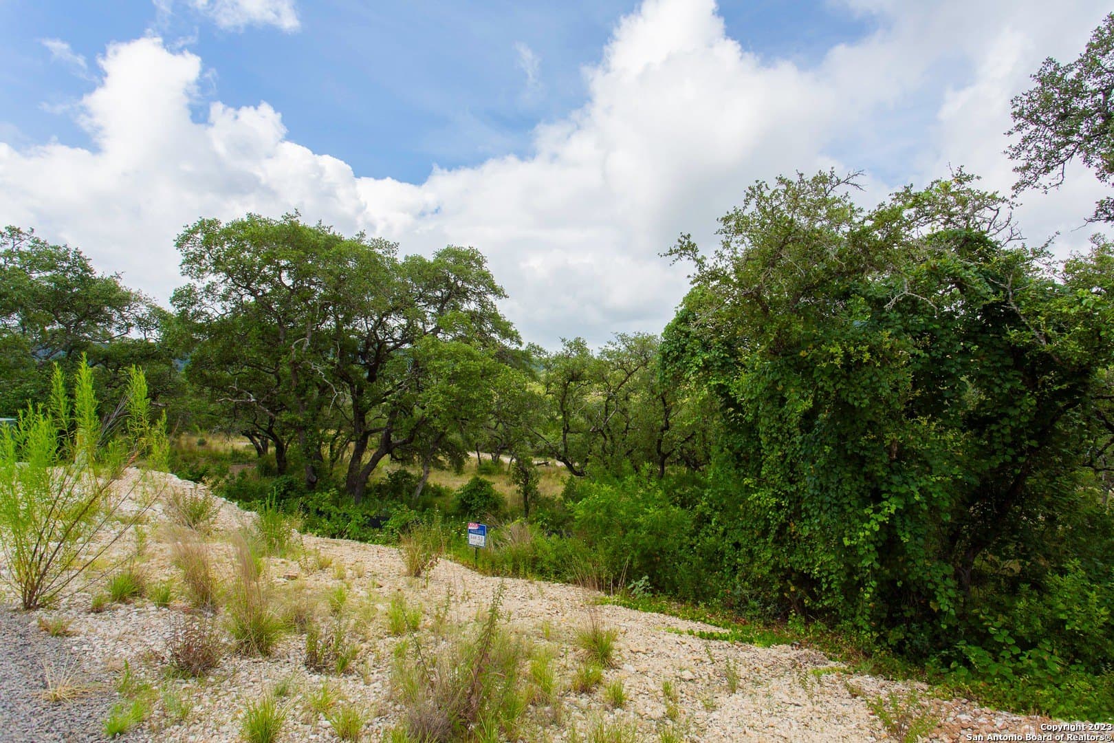 5.45 acres in Medina County - photo 8