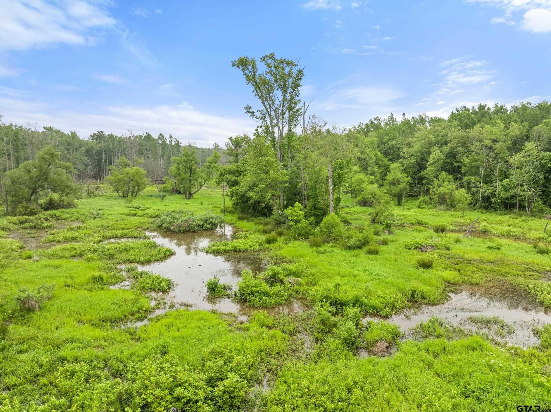 19.95 acres in Smith County - photo 13