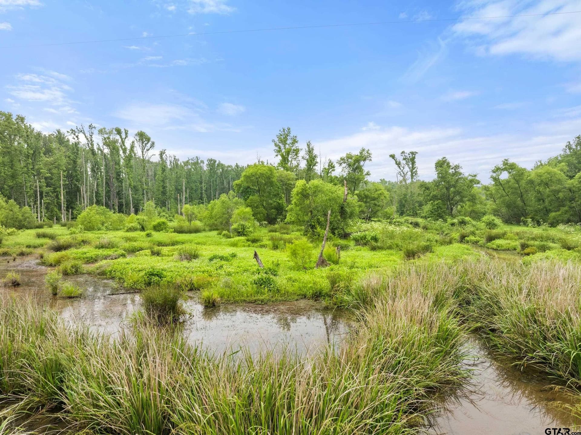 19.95 acres in Smith County - photo 15