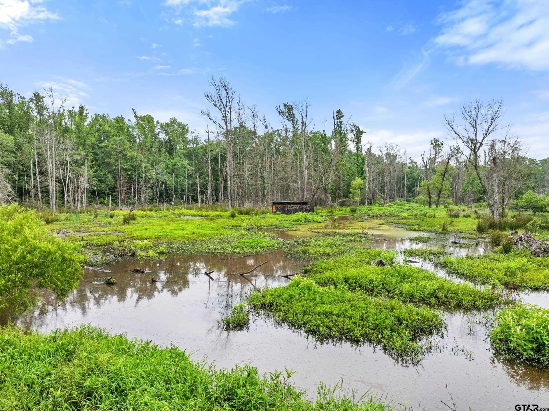 19.95 acres in Smith County - photo 18
