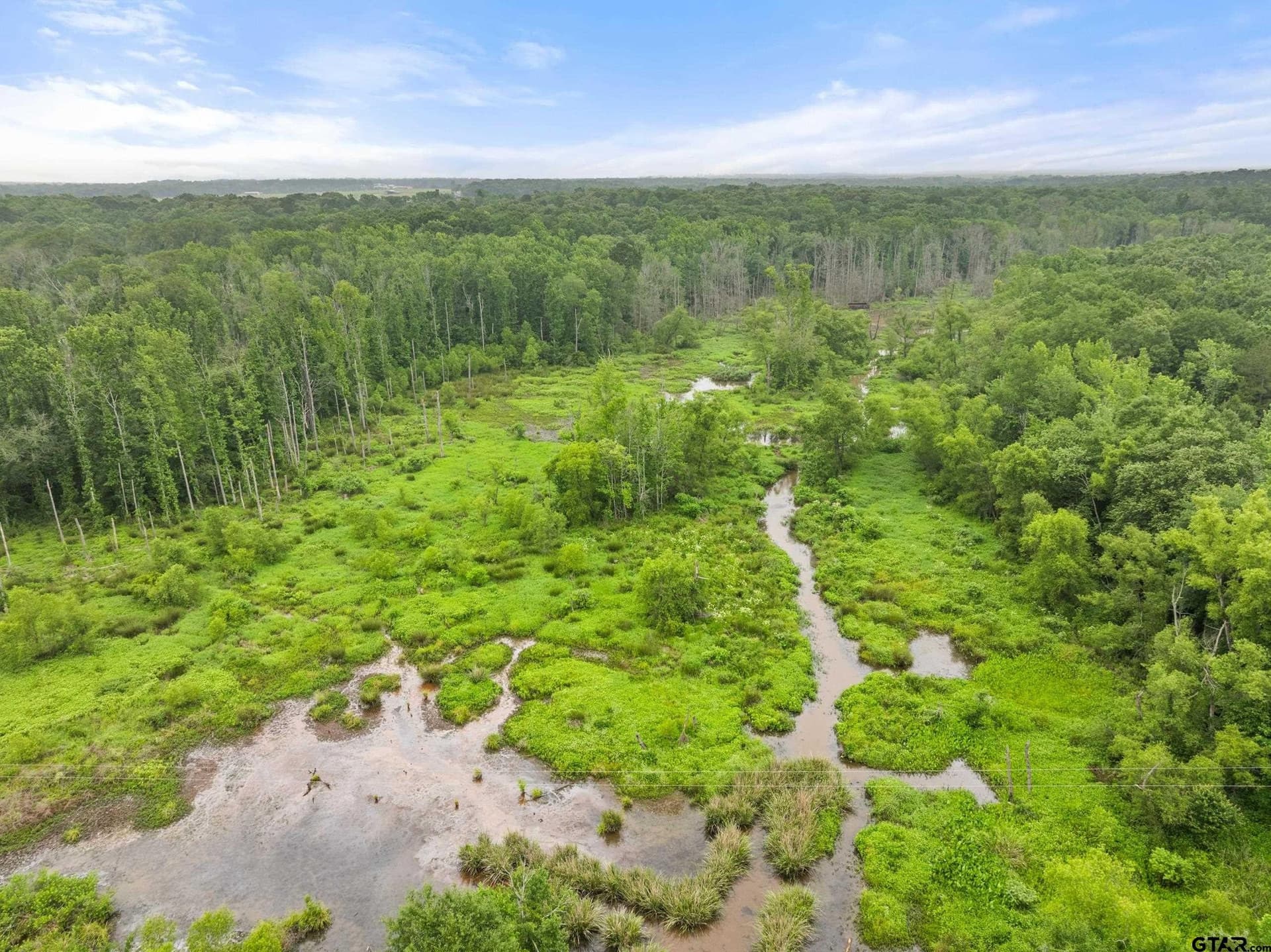 19.95 acres in Smith County - photo 12