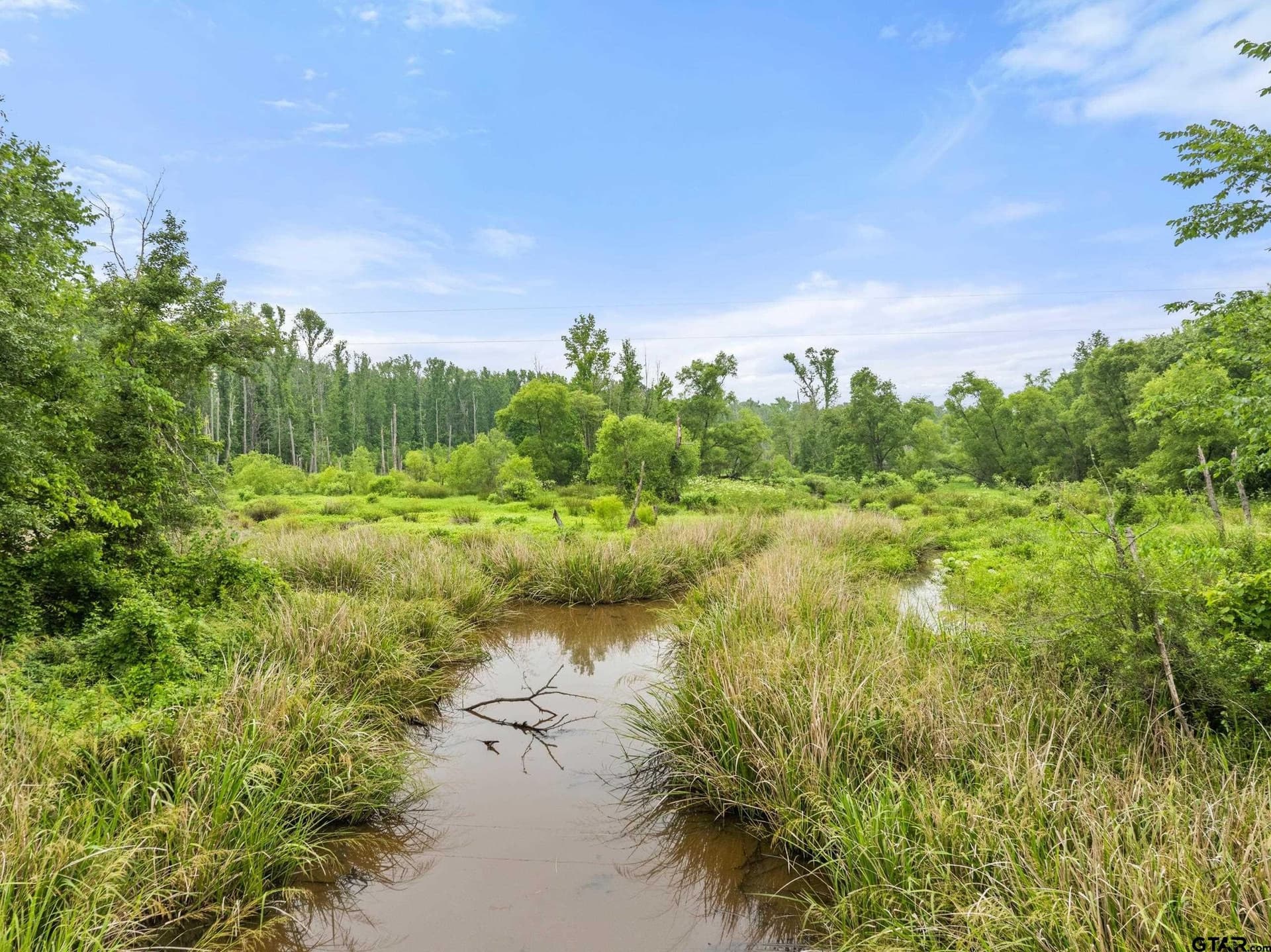 19.95 acres in Smith County - photo 14