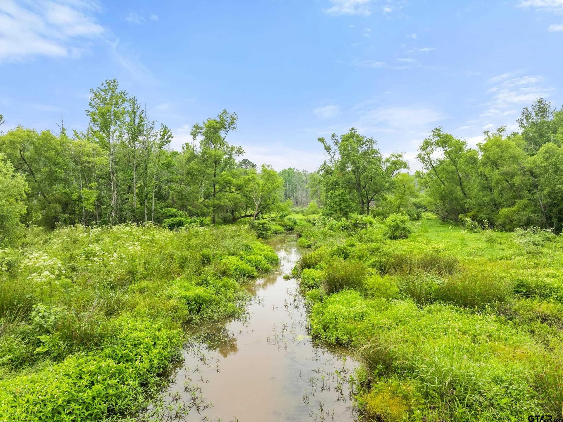 19.95 acres in Smith County - photo 16