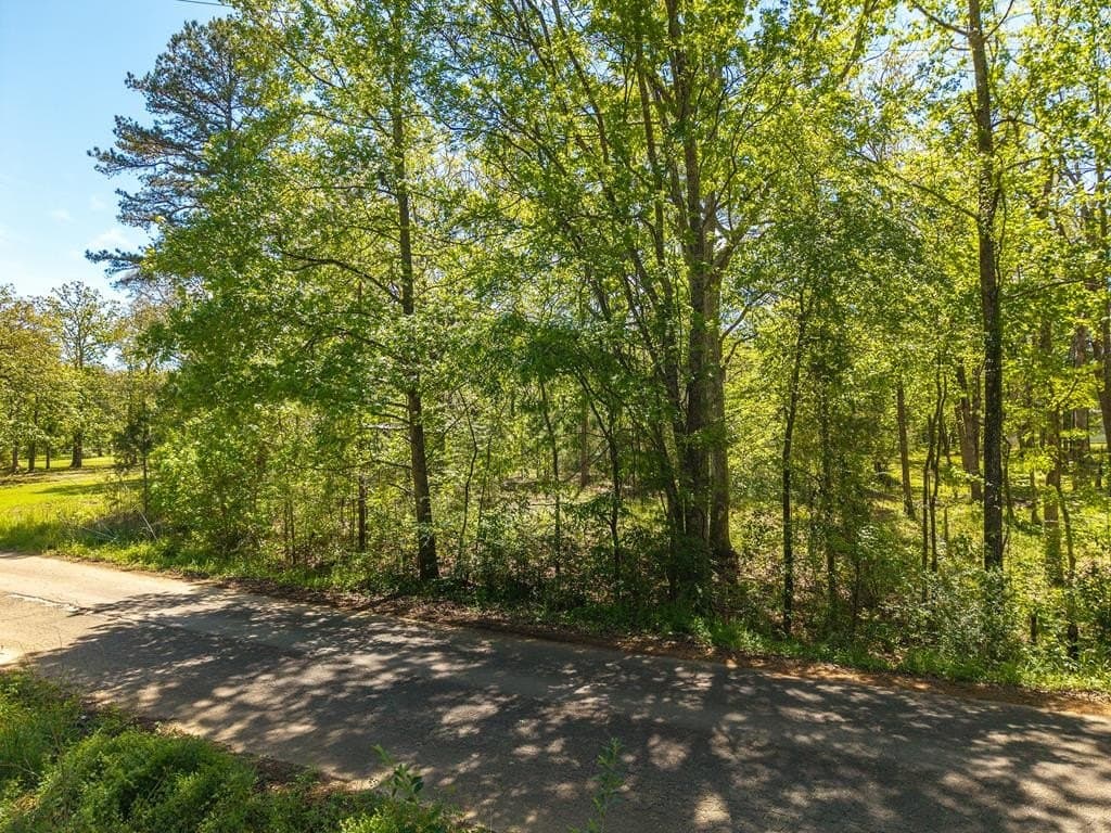 0.99 acres in Texas County