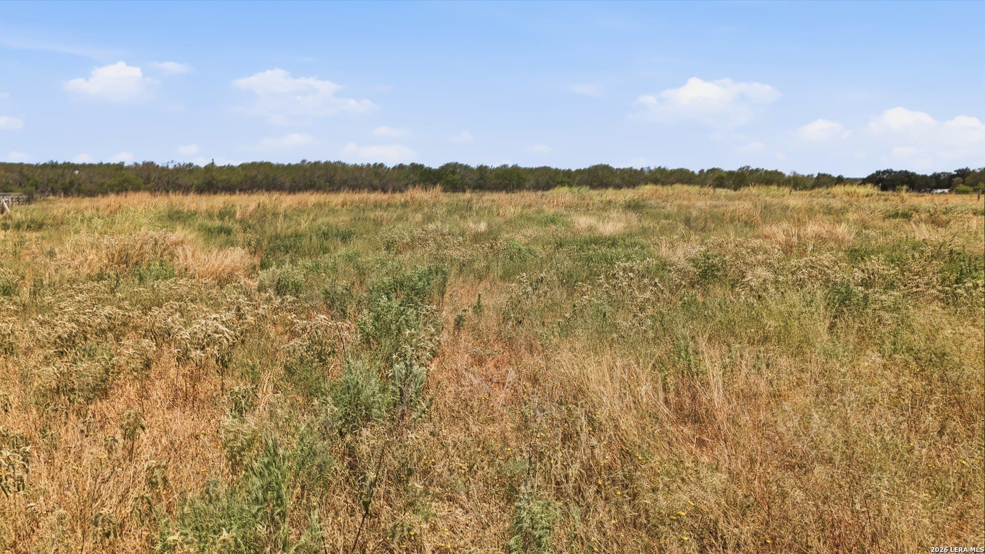 2 acres in Gonzales County - photo 13