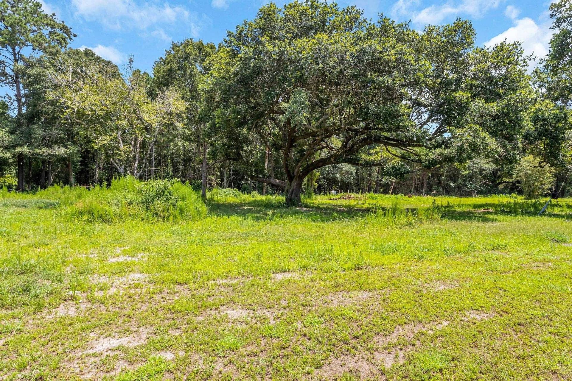 10.42 acres in Texas County - photo 3