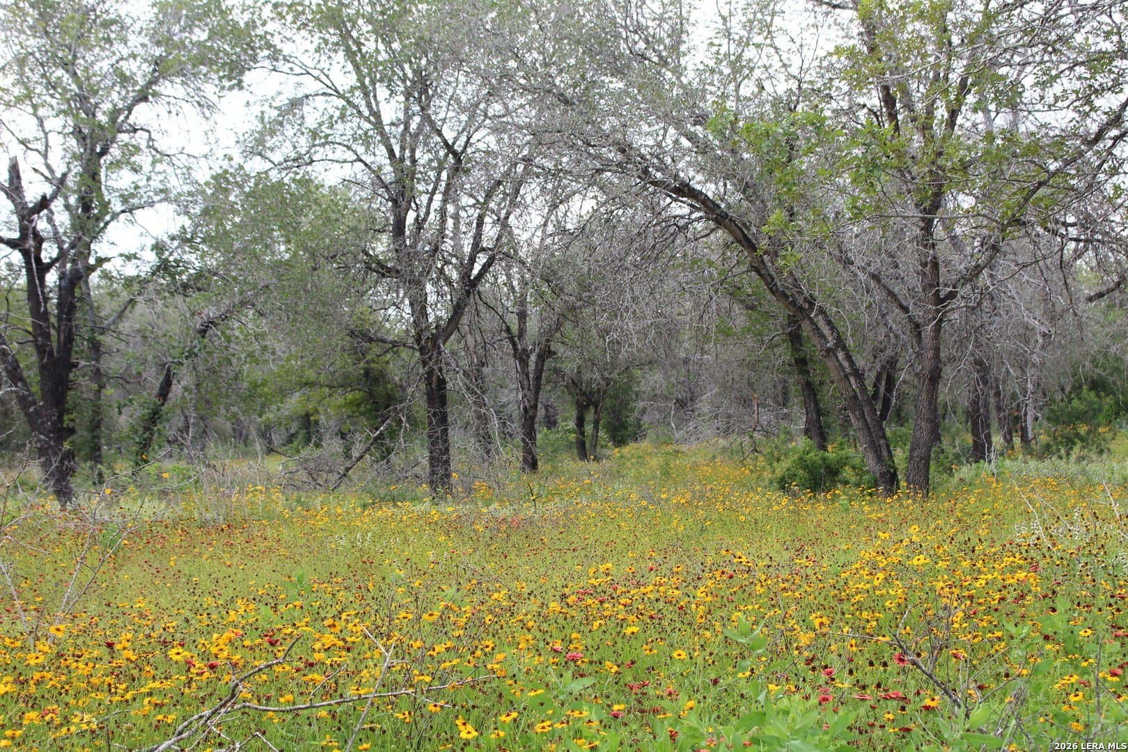 10.66 acres in Bexar County - photo 18
