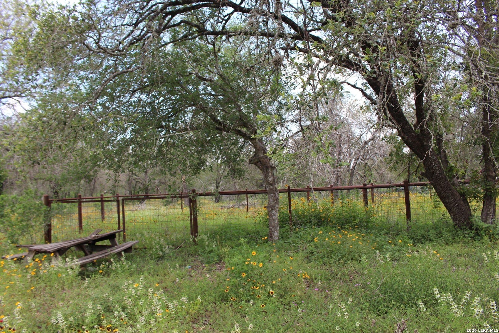 10.66 acres in Bexar County - photo 9