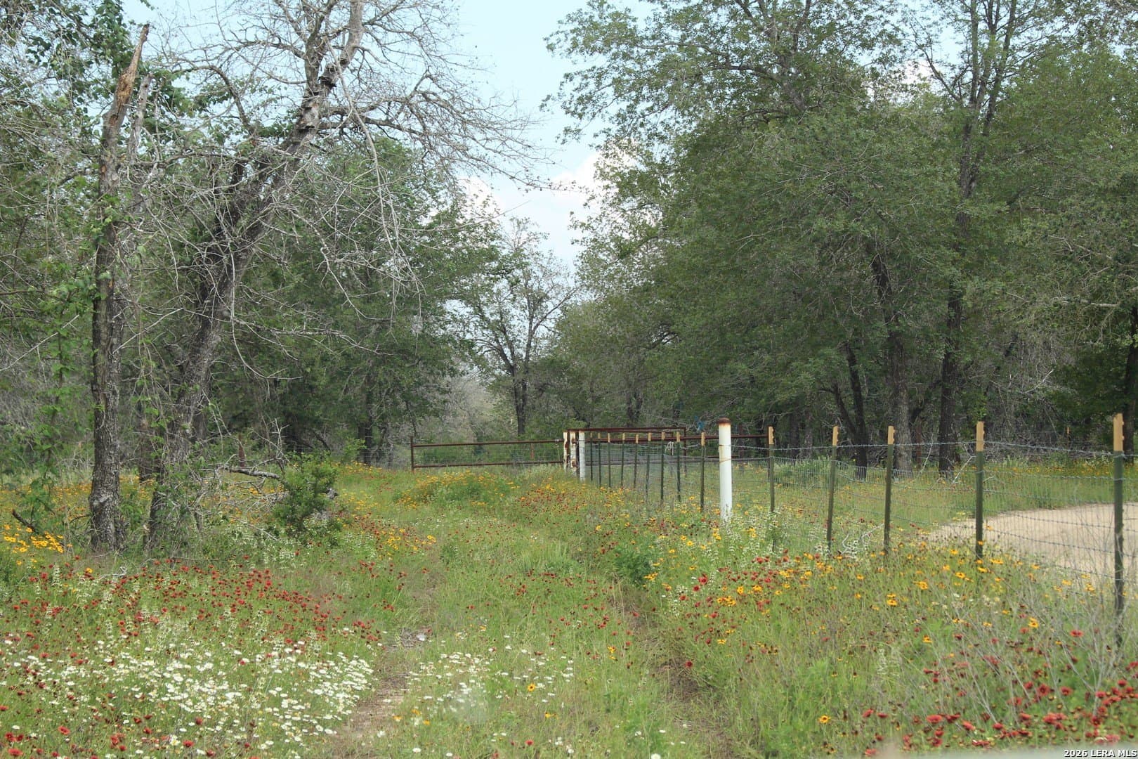10.66 acres in Bexar County - photo 16