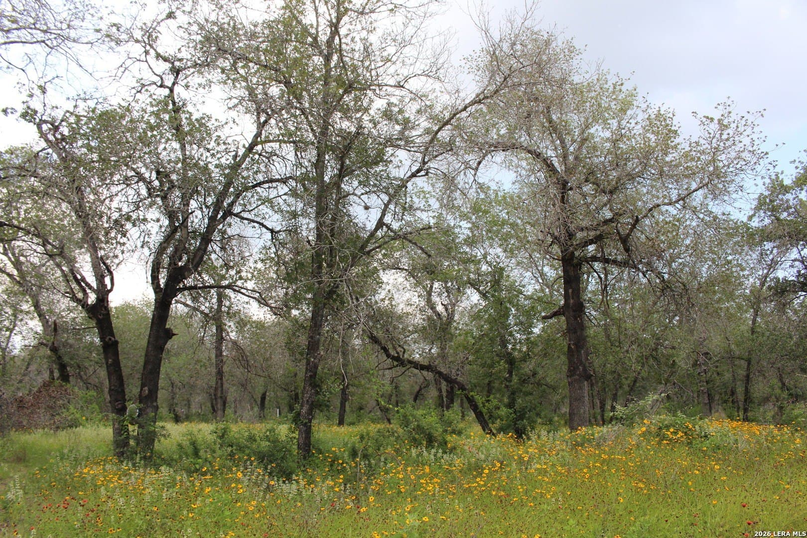 10.66 acres in Bexar County - photo 7