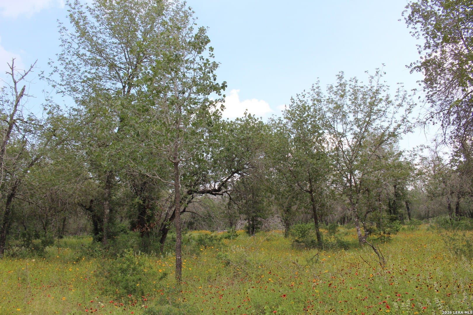 10.66 acres in Bexar County - photo 6