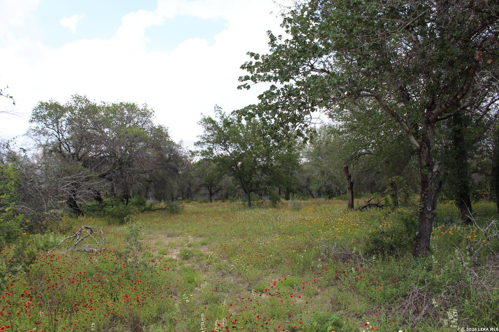 10.66 acres in Bexar County - photo 17