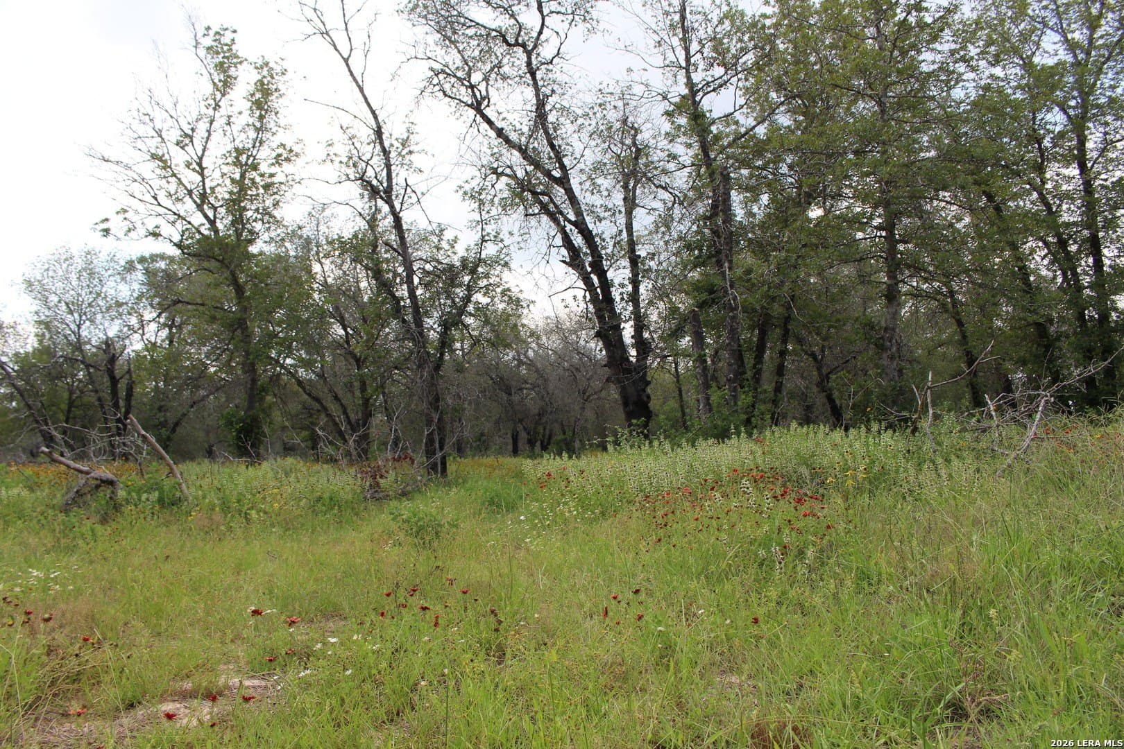 10.66 acres in Bexar County - photo 5