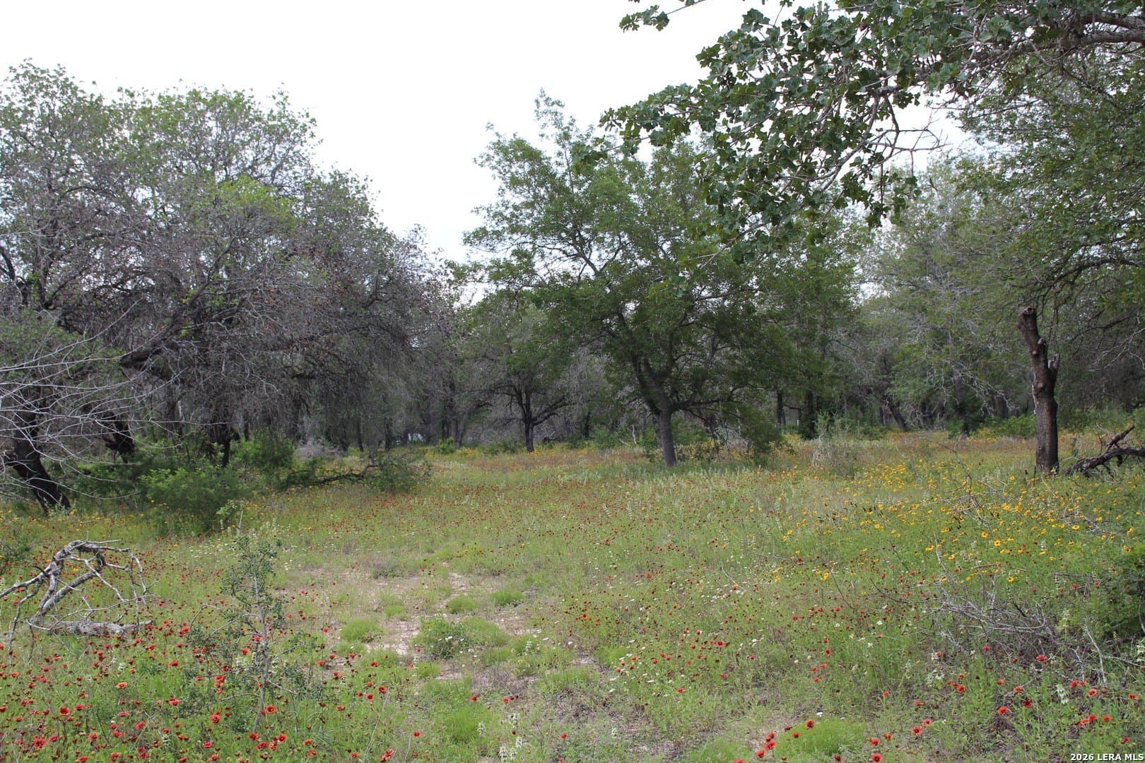 10.66 acres in Bexar County - photo 19
