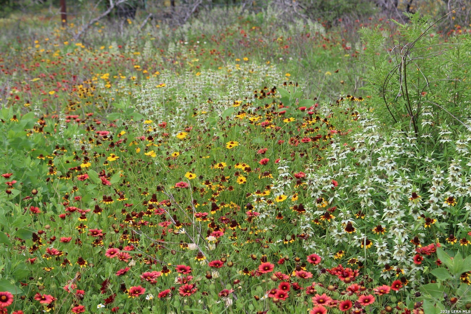 10.66 acres in Bexar County - photo 13
