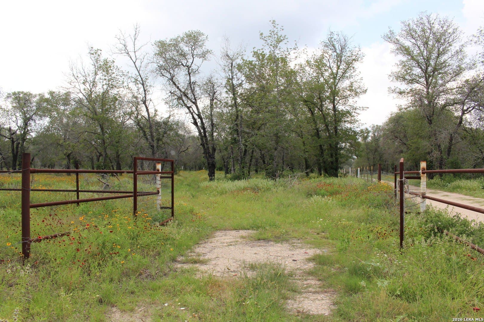 10.66 acres in Bexar County - photo 4