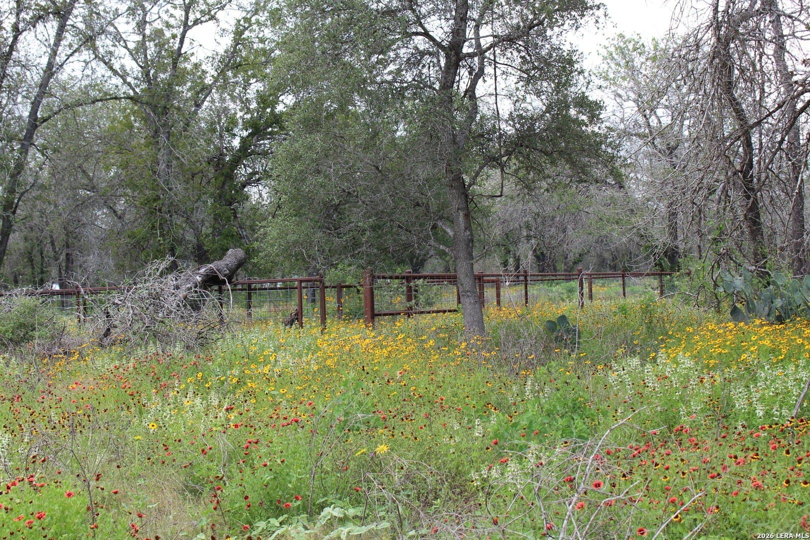 10.66 acres in Bexar County - photo 15