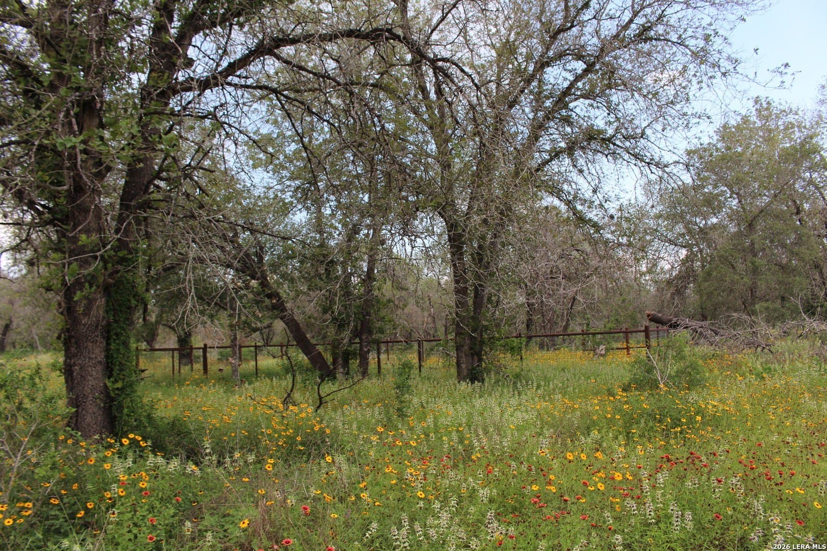 10.66 acres in Bexar County - photo 10