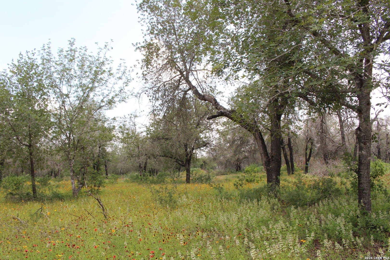 10.66 acres in Bexar County - photo 8