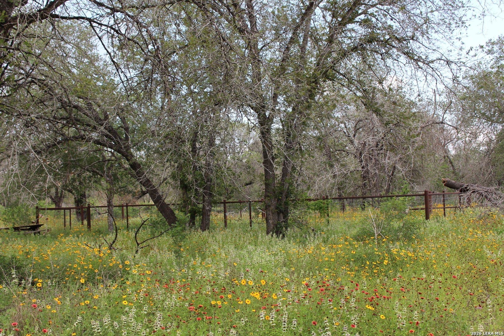 10.66 acres in Bexar County - photo 11
