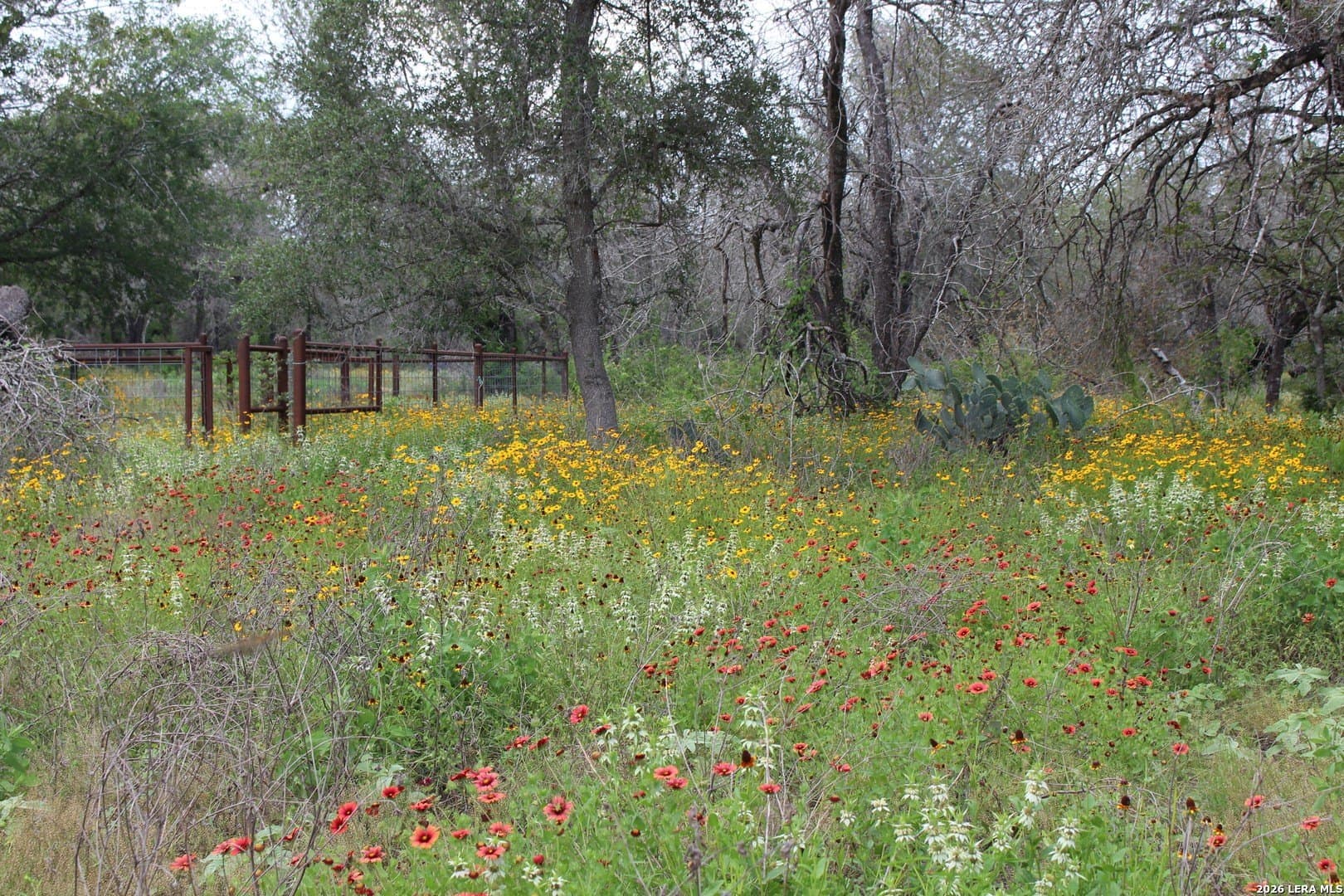 10.66 acres in Bexar County - photo 14