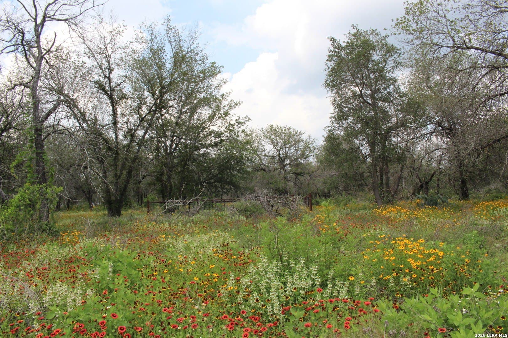 10.66 acres in Bexar County - photo 12
