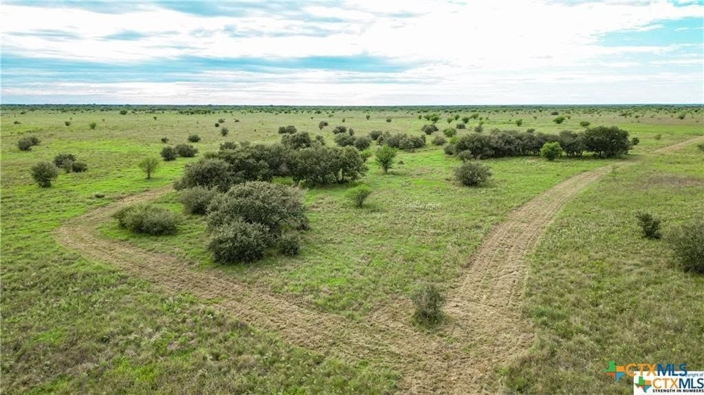 182.55 acres in Victoria County gallery image 2