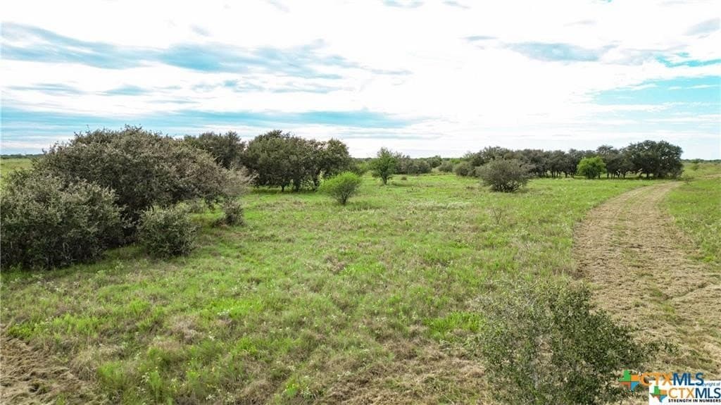 182.55 acres in Victoria County gallery image 3