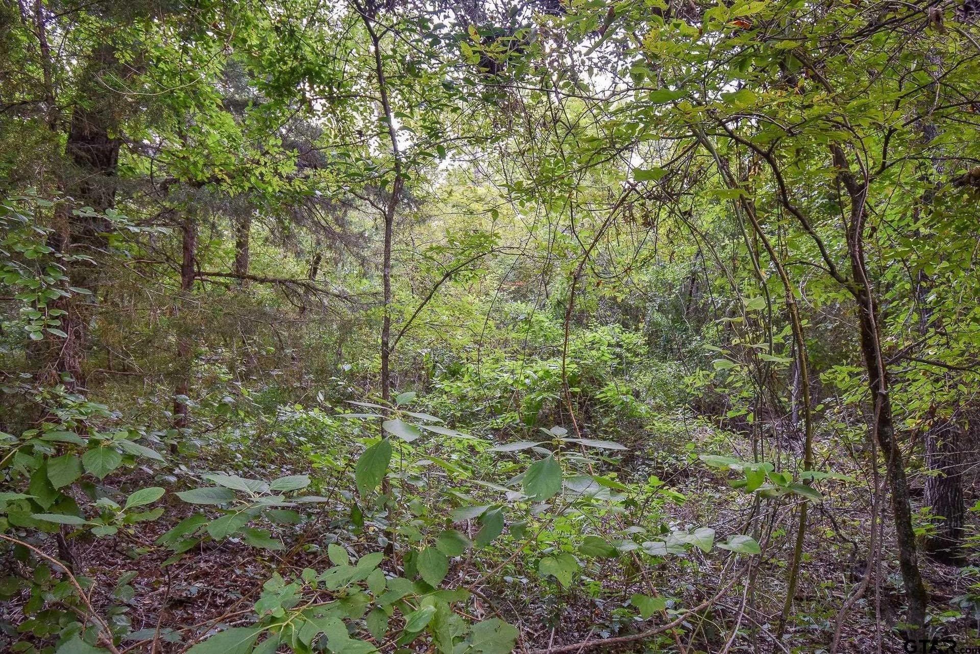 12 acres in Van Zandt County