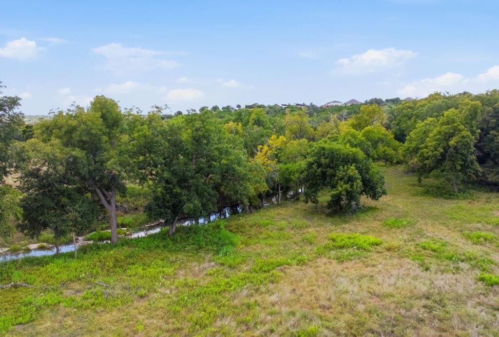45 acres in Hays County - photo 3