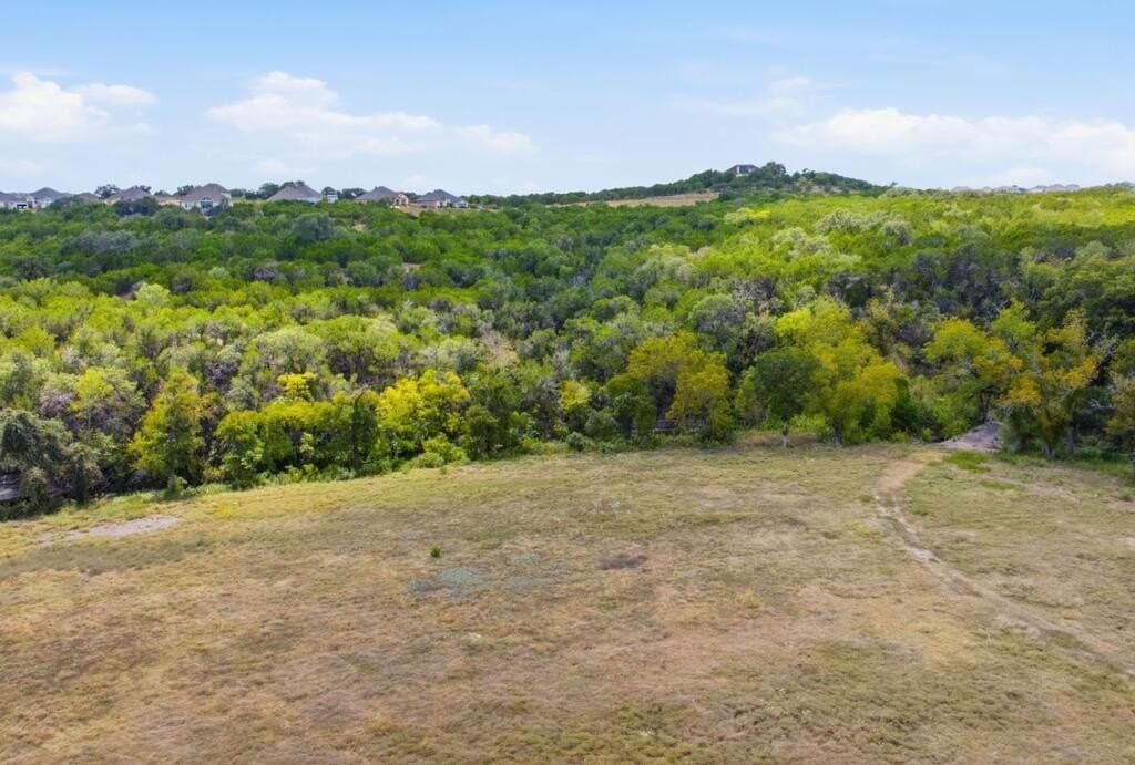 45 acres in Hays County - photo 19