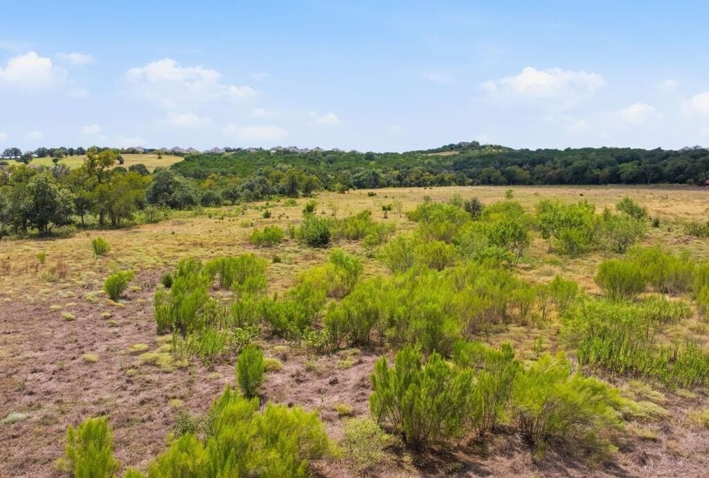 45 acres in Hays County - photo 17