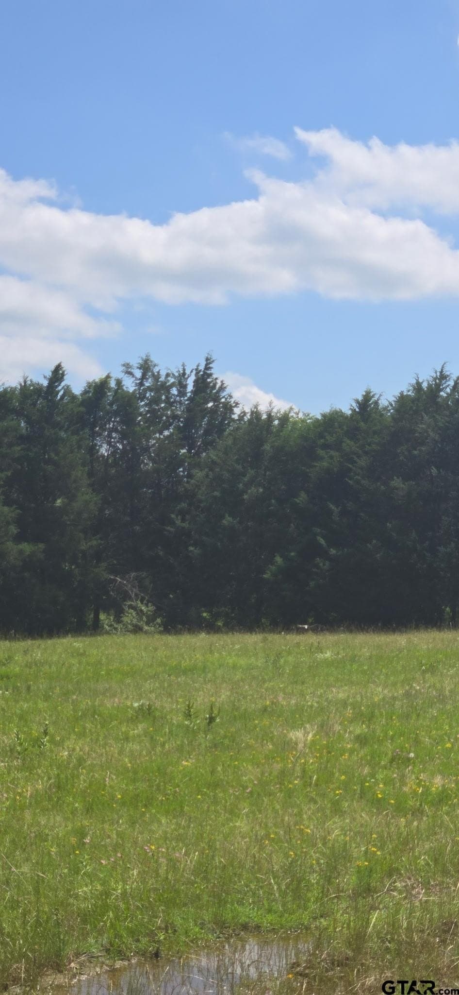 48.27 acres in Henderson County gallery image 4