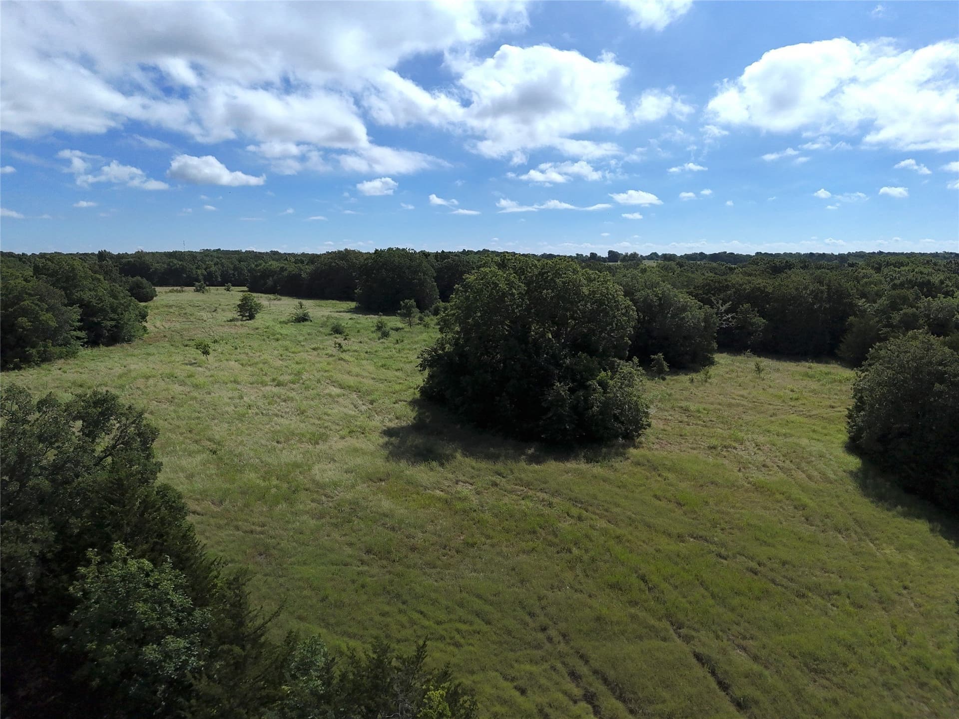 13 acres in Fannin County gallery image 3