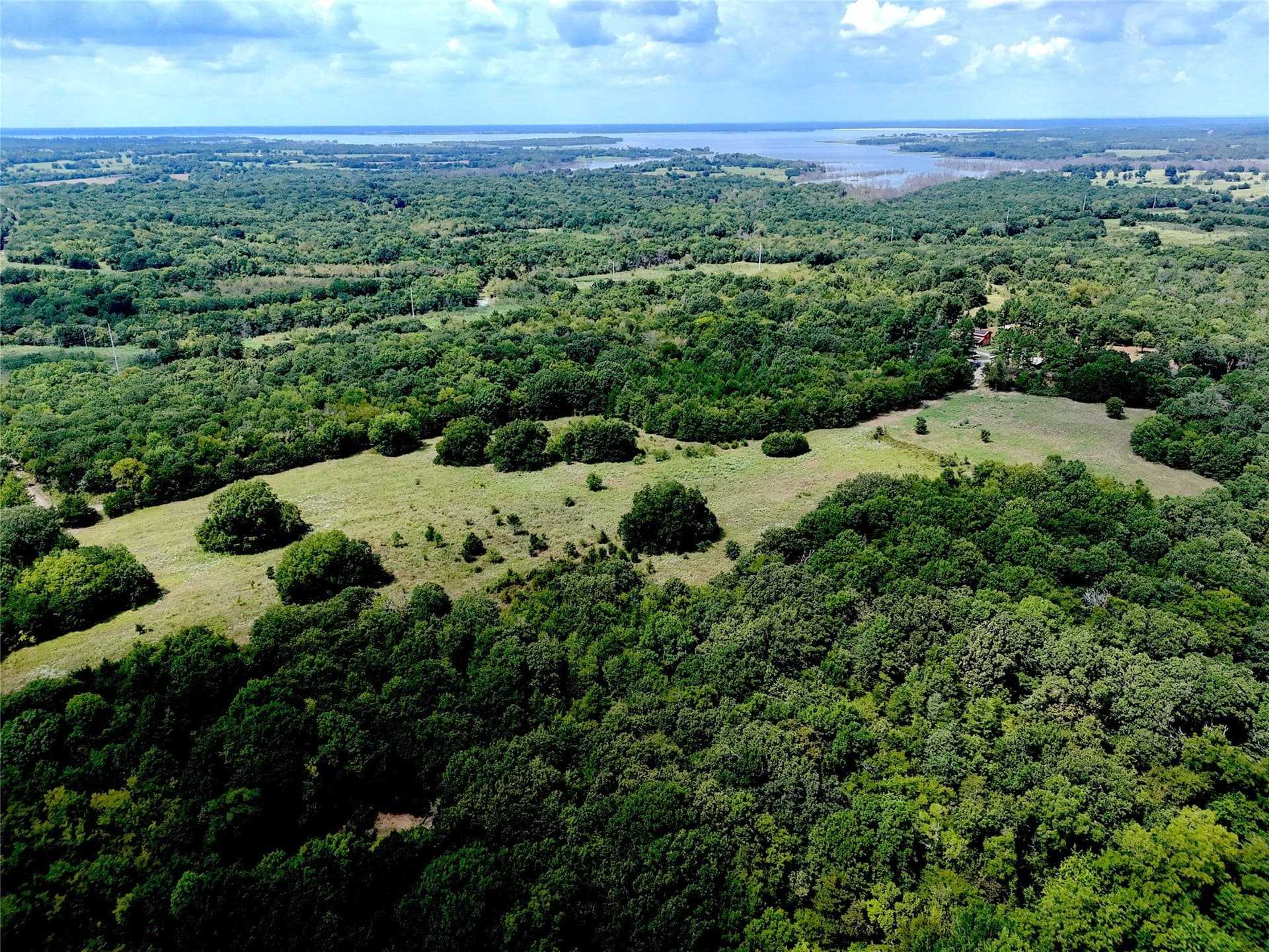 13 acres in Fannin County gallery image 2
