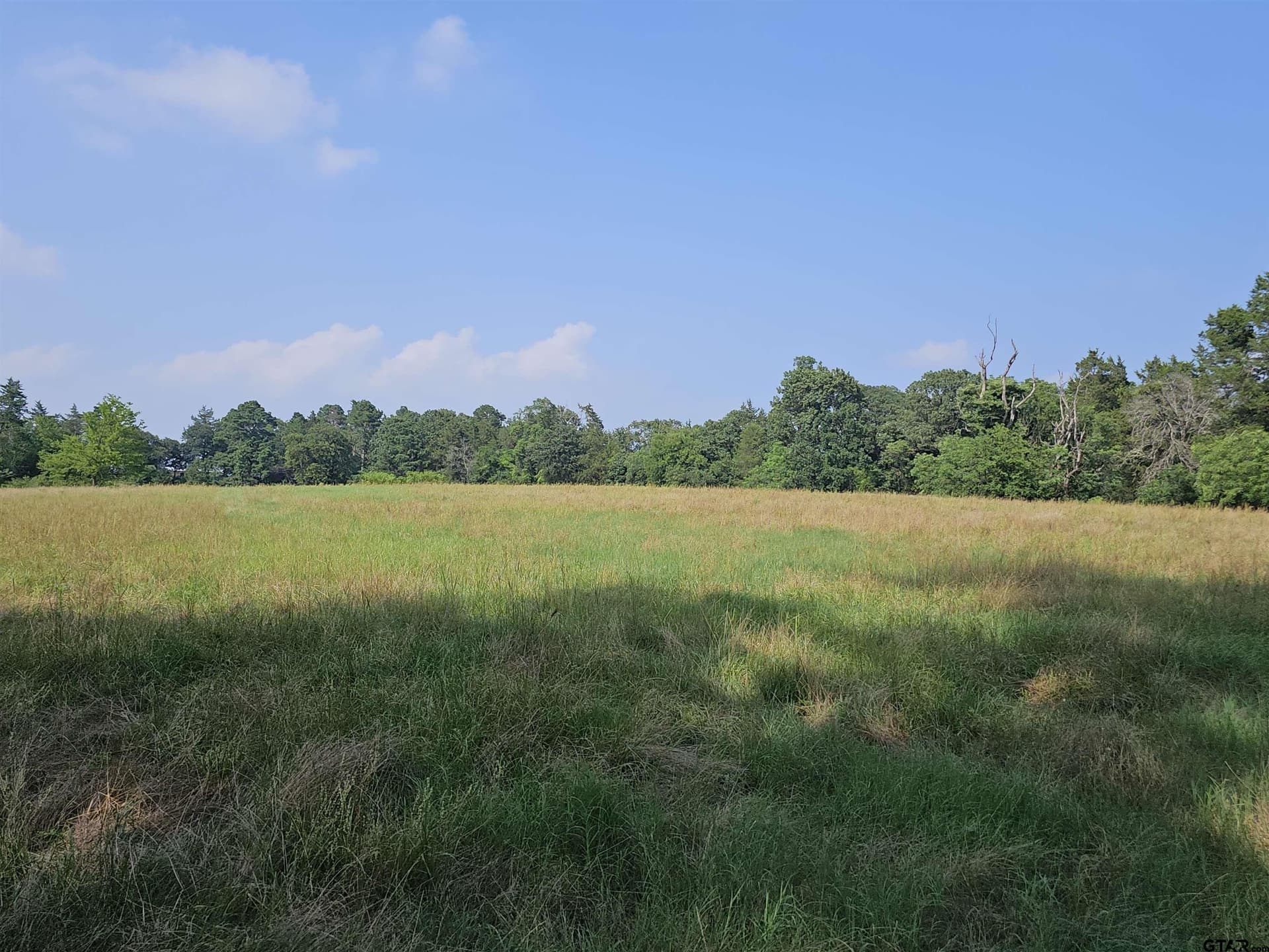 60.63 acres in Camp County - photo 41