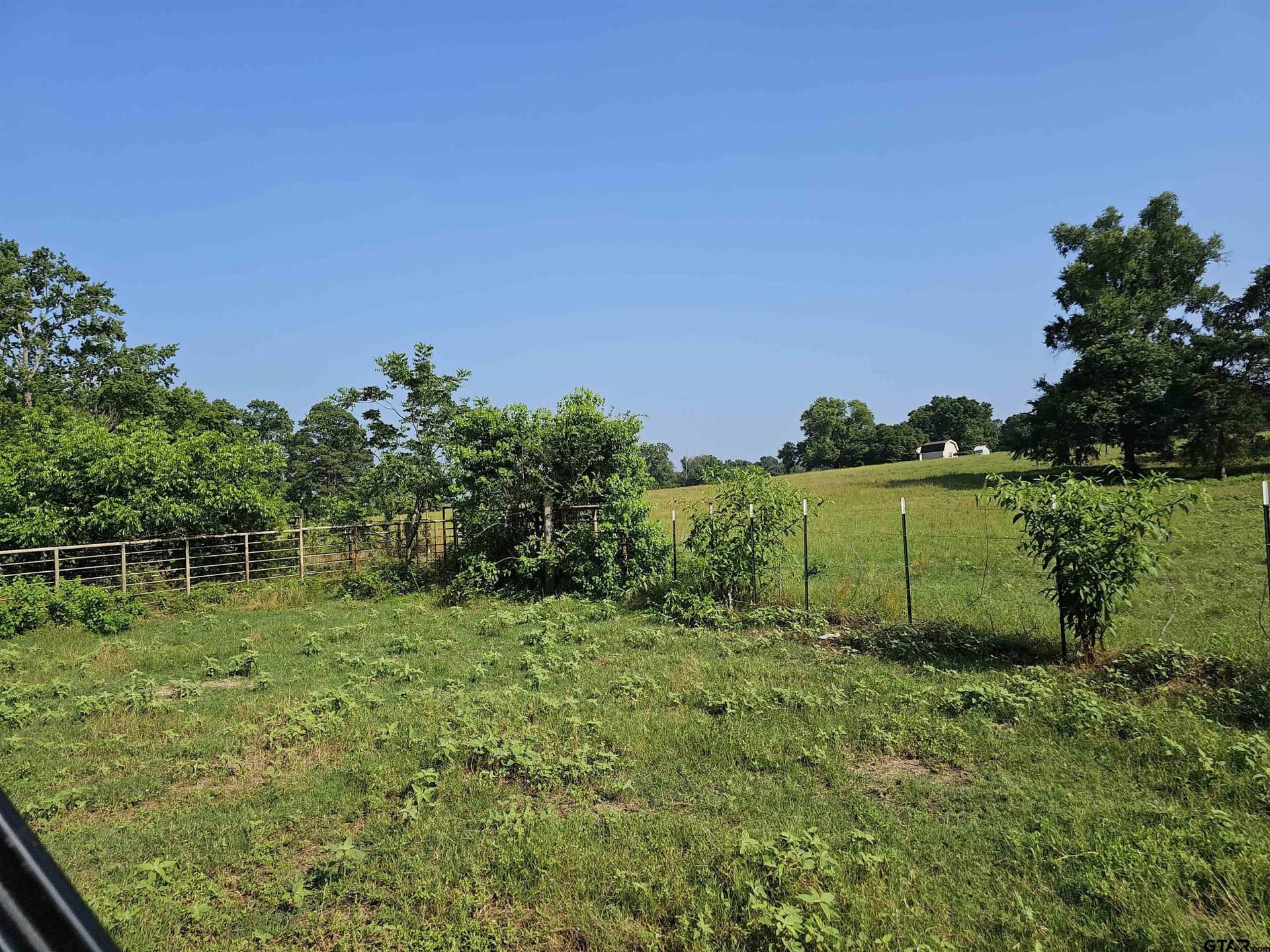 60.63 acres in Camp County - photo 46