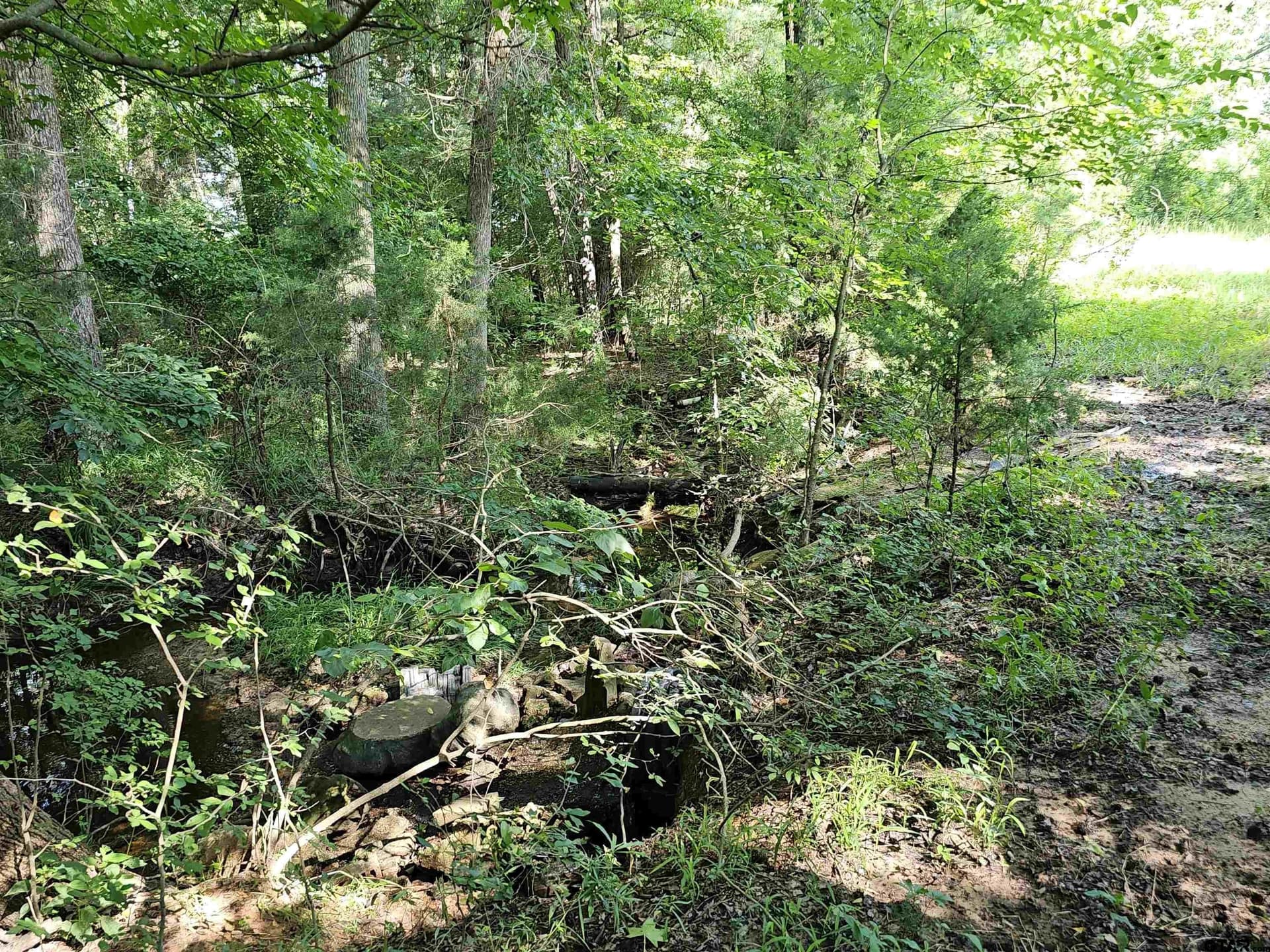60.63 acres in Camp County - photo 44