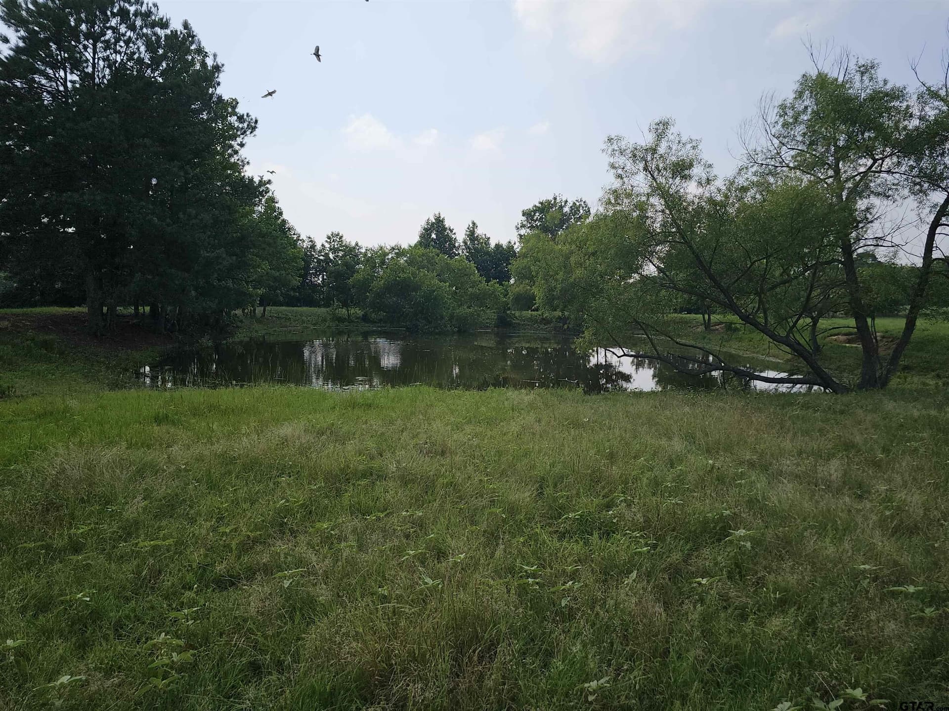 60.63 acres in Camp County - photo 35