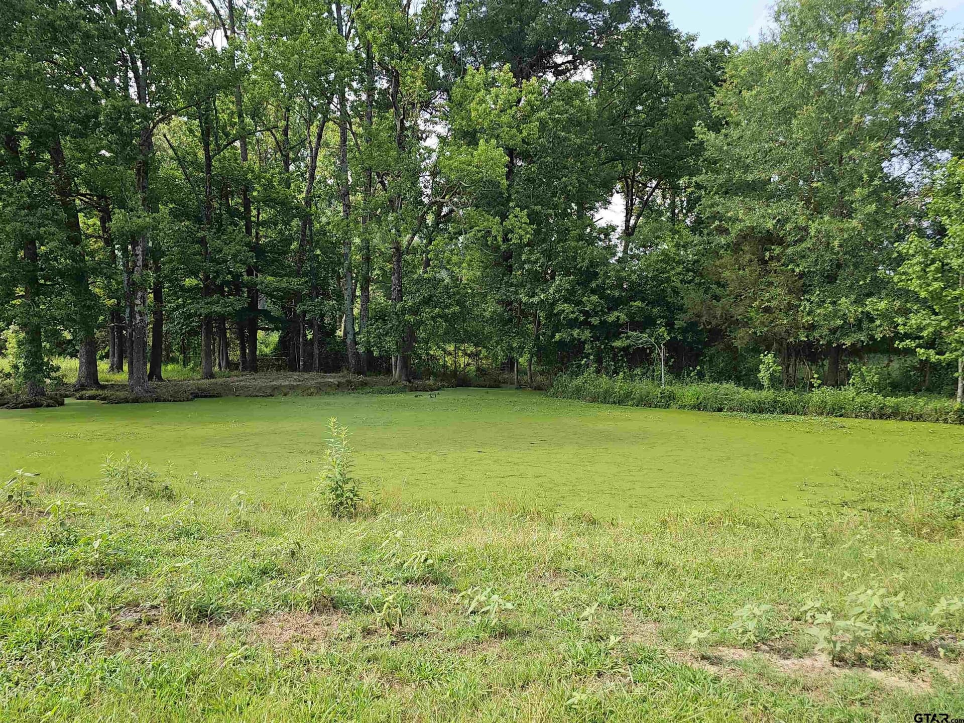 60.63 acres in Camp County - photo 39