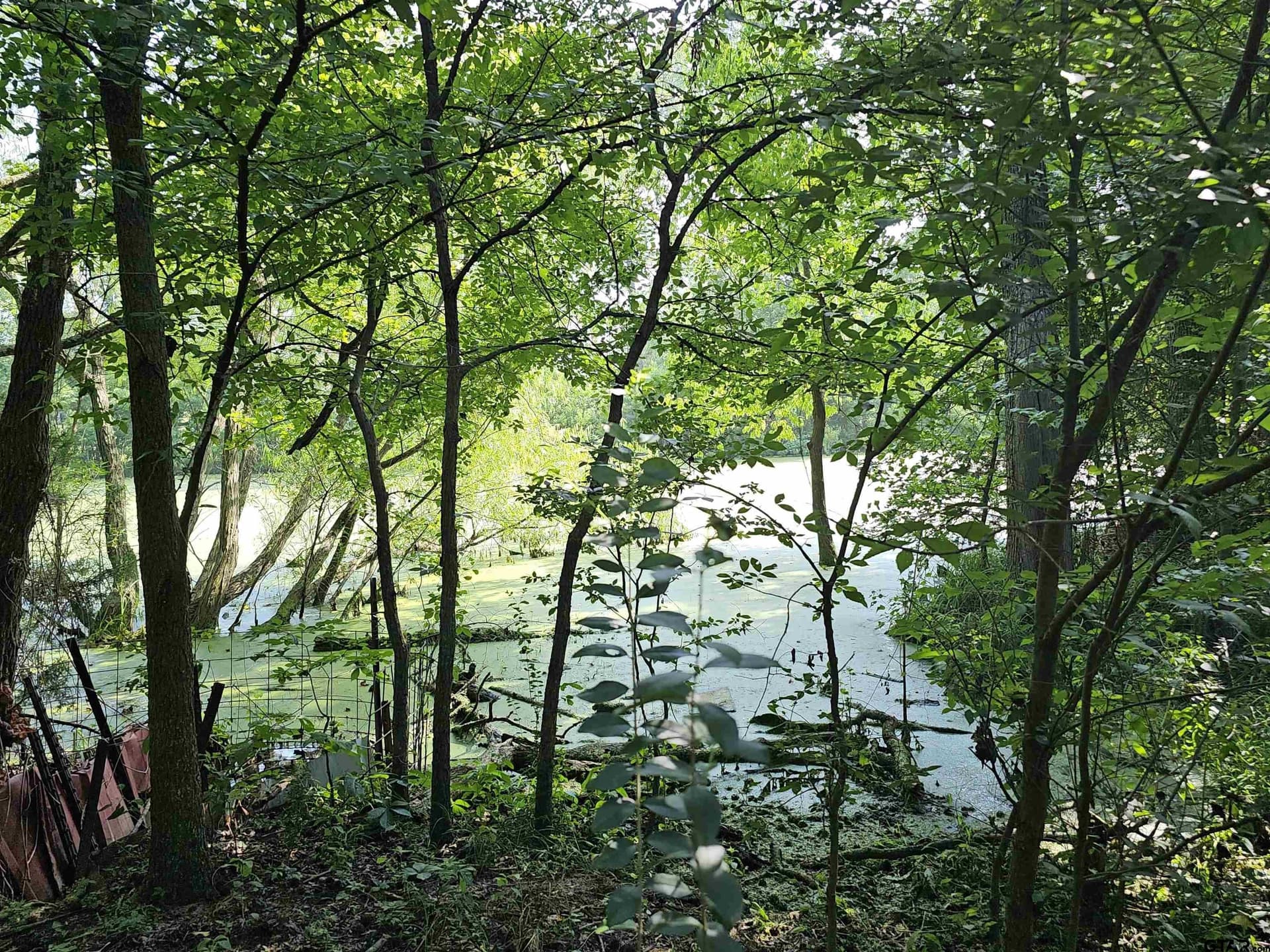 60.63 acres in Camp County - photo 45
