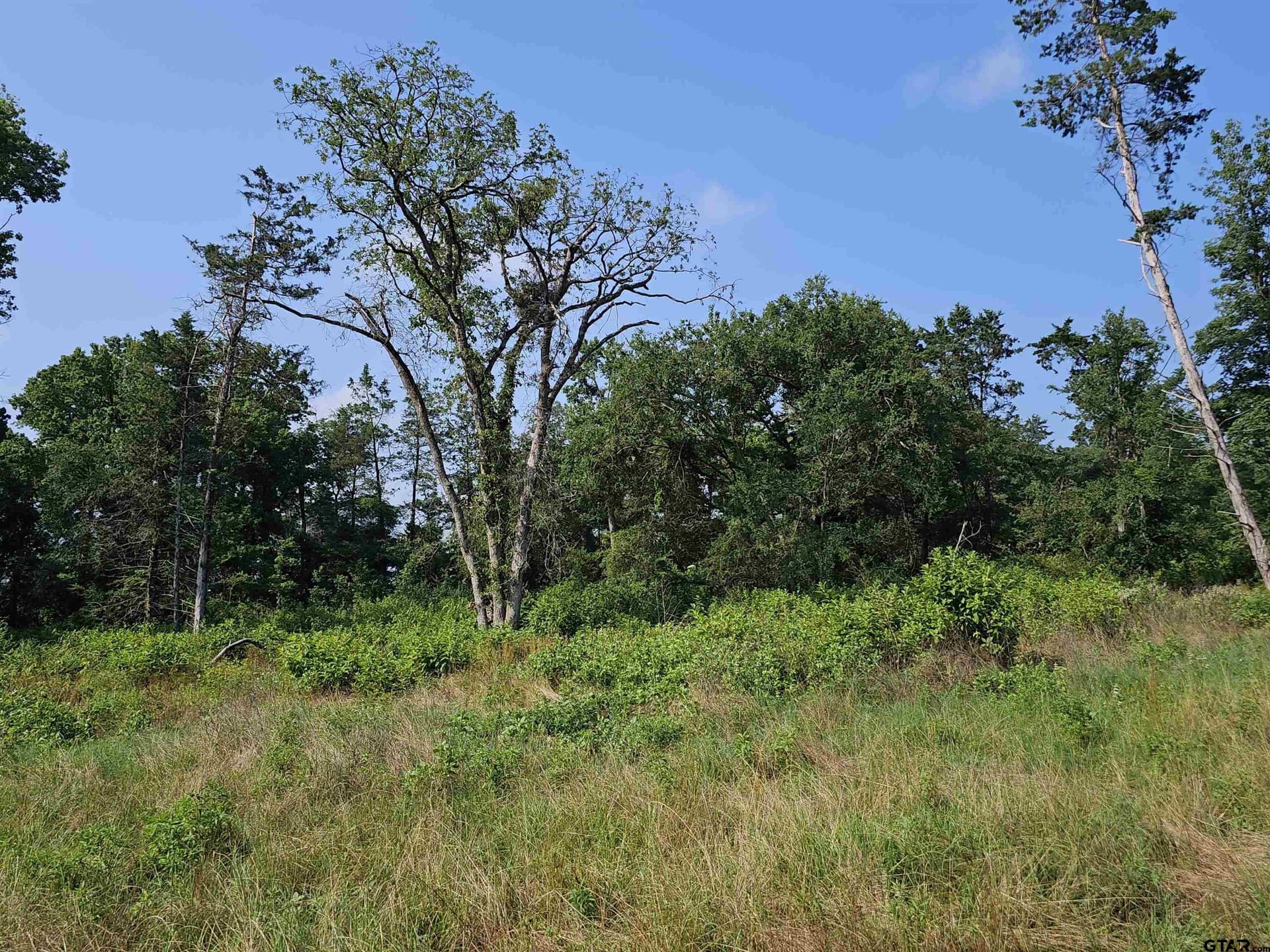 60.63 acres in Camp County - photo 42