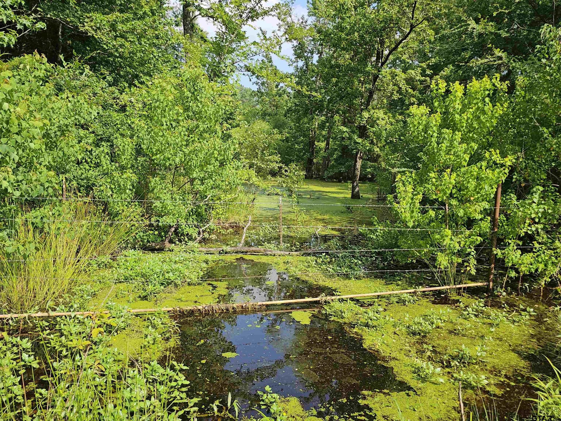60.63 acres in Camp County - photo 40