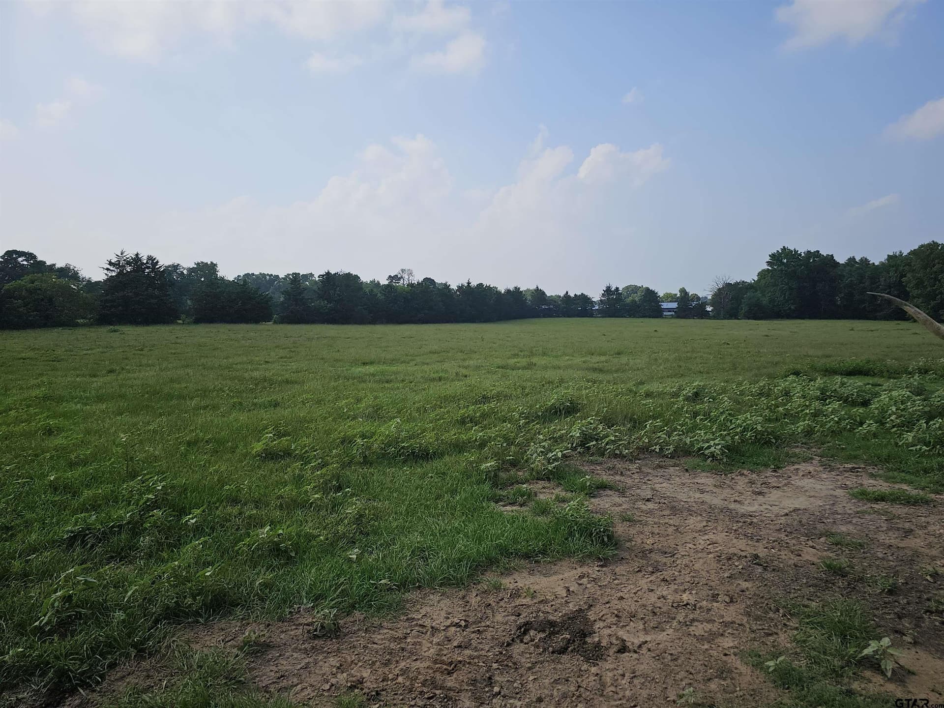 60.63 acres in Camp County - photo 37