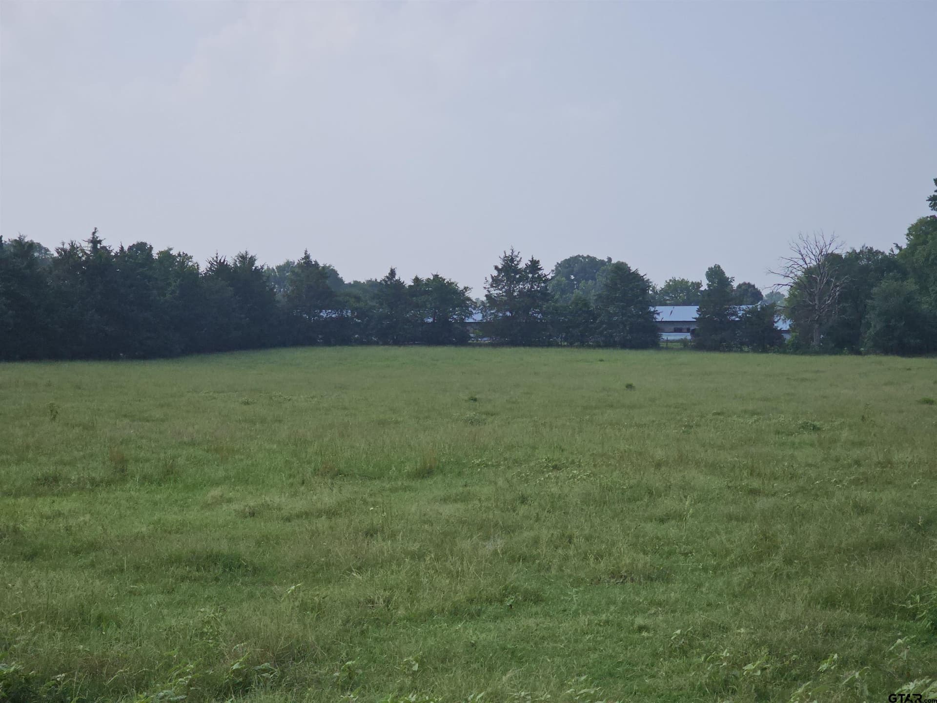 60.63 acres in Camp County - photo 38