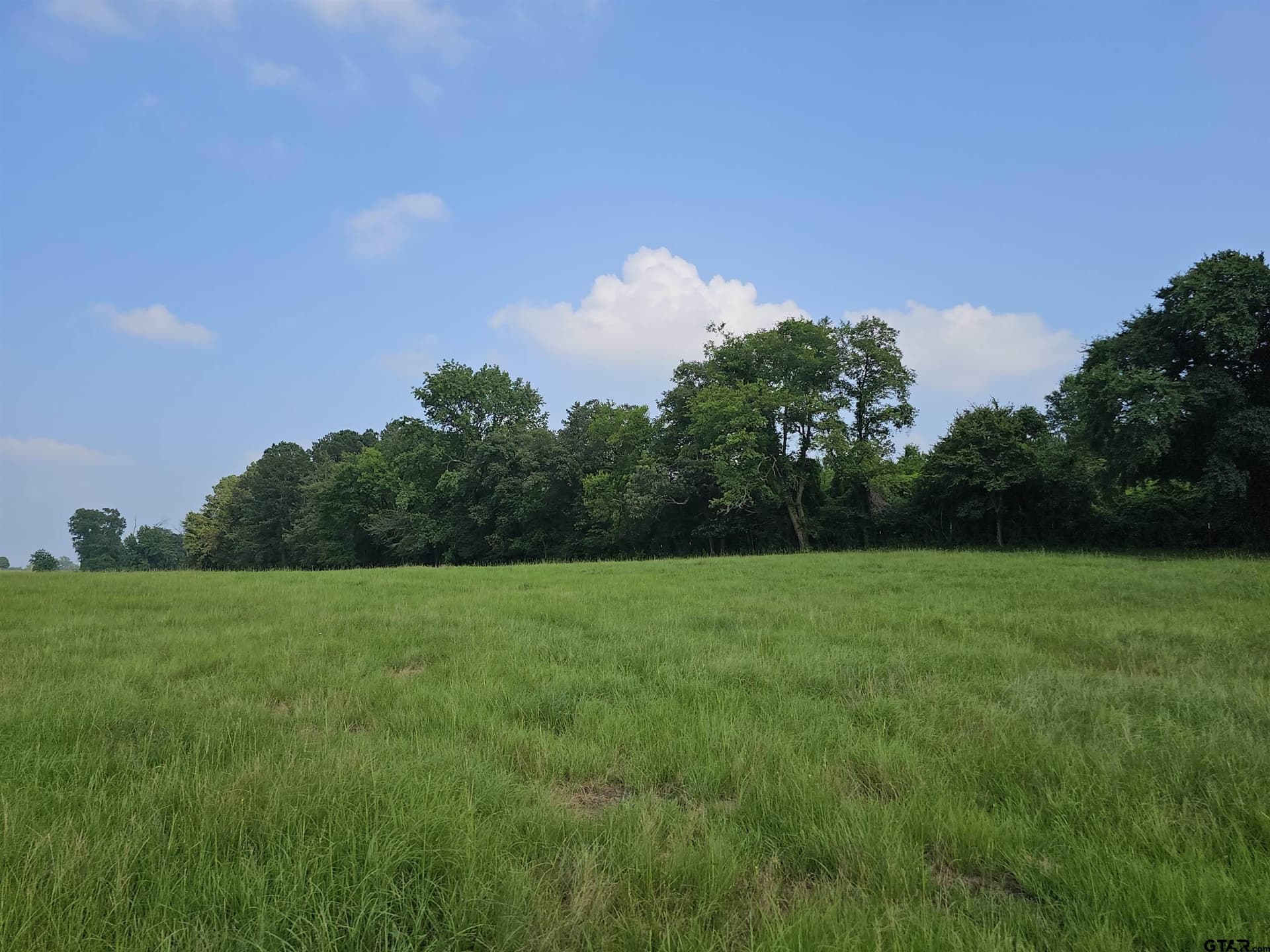 60.63 acres in Camp County - photo 36