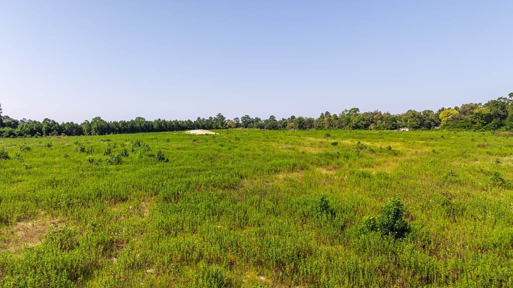 64.17 acres in Texas County - photo 10