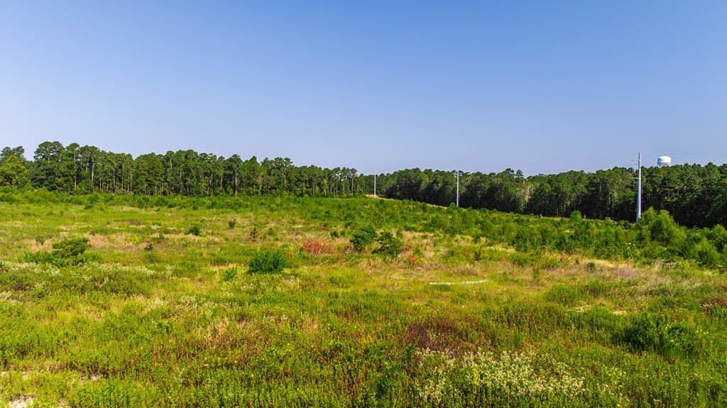 64.17 acres in Texas County - photo 11